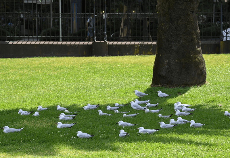 كان عام 2010 أكثر الأعوام سخونة على الإطلاق. ماذا سيحدث بعد ذلك؟